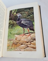 `Жизнь животных (в 7-ми томах)` А.Э. Брэм. Санкт-Петербург, тов-во Деятель, 1911-1914 гг.