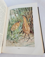 `Жизнь животных (в 7-ми томах)` А.Э. Брэм. Санкт-Петербург, тов-во Деятель, 1911-1914 гг.