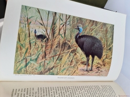 `Жизнь животных (в 7-ми томах)` А.Э. Брэм. Санкт-Петербург, тов-во Деятель, 1911-1914 гг.