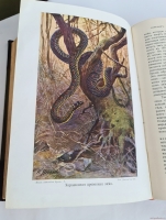 `Жизнь животных (в 7-ми томах)` А.Э. Брэм. Санкт-Петербург, тов-во Деятель, 1911-1914 гг.