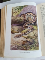 `Жизнь животных (в 7-ми томах)` А.Э. Брэм. Санкт-Петербург, тов-во Деятель, 1911-1914 гг.