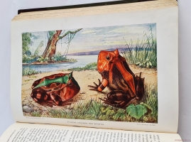 `Жизнь животных (в 7-ми томах)` А.Э. Брэм. Санкт-Петербург, тов-во Деятель, 1911-1914 гг.