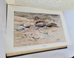 `Жизнь животных (в 7-ми томах)` А.Э. Брэм. Санкт-Петербург, тов-во Деятель, 1911-1914 гг.