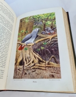 `Жизнь животных (в 7-ми томах)` А.Э. Брэм. Санкт-Петербург, тов-во Деятель, 1911-1914 гг.