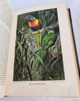 `Жизнь животных (в 7-ми томах)` А.Э. Брэм. Санкт-Петербург, тов-во Деятель, 1911-1914 гг.