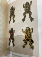`Жизнь природы: Картина физических и химических явлений` В. Мейер. Санкт-Петербург, Книгоиздательское Товарищество Просвещение, [1905]