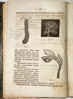 `Физиология растительных процессов` И.М.Сеченов. СПб, 1871 г.