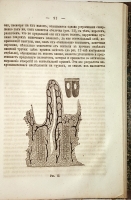 `Физиология растительных процессов` И.М.Сеченов. СПб, 1871 г.