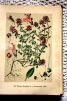 `Русские лекартвенные растения` В.К.Варлих. СПб, 1901 г.