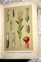 `Русские лекартвенные растения` В.К.Варлих. СПб, 1901 г.