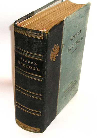 `Атлас плодов` А.С.Гребницкого. СПб., 1903. Экспедиция заготовления гос.бумаг.