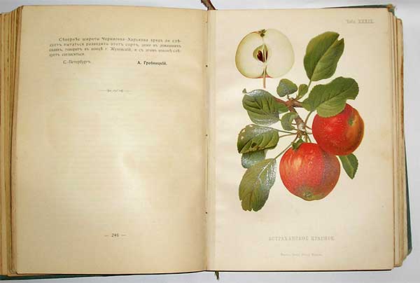 `Атлас плодов` А.С.Гребницкого. СПб., 1903. Экспедиция заготовления гос.бумаг.