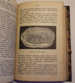 `Драгоценные камни + Микроскоп и телескоп` И.Святский. С.-Петербург, 1895 г.