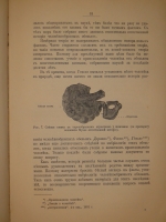 `Этюды о природе человека` И.И.Мечников. Москва, Издание Редакции Журнала  Русское Слово , 1904г.