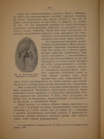 `Этюды о природе человека` И.И.Мечников. Москва, Издание Редакции Журнала  Русское Слово , 1904г.