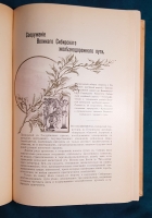 `Путеводитель по Великой Сибирской железной дороге` Под редакцией А.И. Дмитриева-Мамонова и инженера А.Ф. Здзярского. С.-Петербург. Товарищество художественной печати, Английский пр., 1900 г.