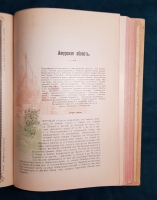 `Путеводитель по Великой Сибирской железной дороге` Под редакцией А.И. Дмитриева-Мамонова и инженера А.Ф. Здзярского. С.-Петербург. Товарищество художественной печати, Английский пр., 1900 г.