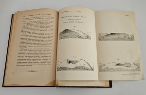 `Разъяснение вопроса о древнем течении Аму-Дарьи. По современным геологическим и физико-географическим данным` А. М. Коншин. Спб, Тип. Имп. Акад. Наук, 1897 г.