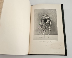 `Птицы Восточной Персии` Н.А. Зарудный. Спб, Тип. Имп. Акад. Наук, 1903 г.