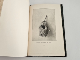 `Птицы Восточной Персии` Н.А. Зарудный. Спб, Тип. Имп. Акад. Наук, 1903 г.