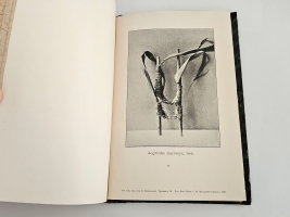 `Птицы Восточной Персии` Н.А. Зарудный. Спб, Тип. Имп. Акад. Наук, 1903 г.