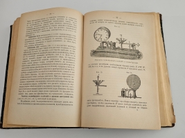 `Известия Императорского Русского Географического Общества.   Том XXVI` . Тип. А. С. Суворина, 1890 г.