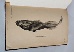 `Отчеты Экспедиции Русского географического общества на Канин полуостров в 1902 году` . Санкт-Петербург, Тип. М.М. Стасюлевича, 1904 г.