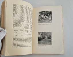 `Таранчи` . Часть I. Текст.   - С-Петербург, тип. Экономия - 1914 г.