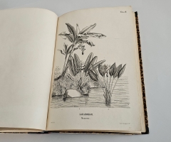 `Магазин землеведения и путешествий : географический сборник` изд. Николаем Фроловым. Т. 2. М, Тип. Александра Семена, 1853.