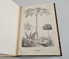`Магазин землеведения и путешествий : географический сборник` изд. Николаем Фроловым. Т. 2. М, Тип. Александра Семена, 1853.