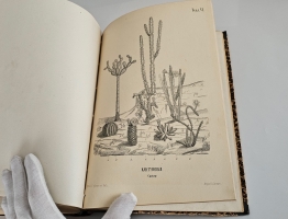 `Магазин землеведения и путешествий : географический сборник` изд. Николаем Фроловым. Т. 2. М, Тип. Александра Семена, 1853.