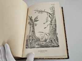 `Магазин землеведения и путешествий : географический сборник` изд. Николаем Фроловым. Т. 2. М, Тип. Александра Семена, 1853.