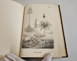 `Магазин землеведения и путешествий : географический сборник` изд. Николаем Фроловым. Т. 2. М, Тип. Александра Семена, 1853.