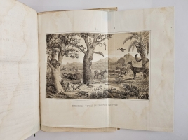 `Магазин землеведения и путешествий : географический сборник` изд. Николаем Фроловым. Т. 5. -М, Тип. Александра Семена, 1858 г.