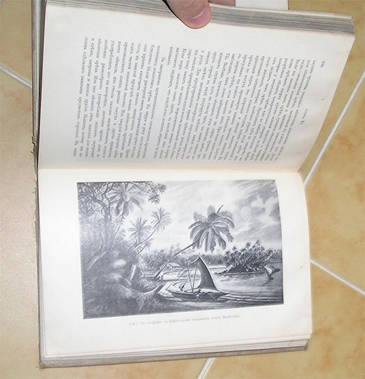 `Цейлон. Введение в мир тропиков.` Конрад Гюнтер. Петроград, 1914.