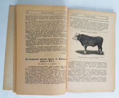 `Сельский Господарь` . Харкiв, 1926 г.