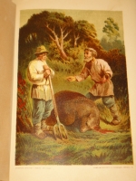 `Басни И.А.Крылова` И.А.Крылов. С.-Петербург, Издание П.А.Егорова, 1880г.