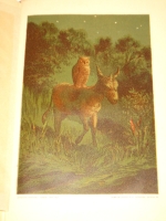 `Басни И.А.Крылова` И.А.Крылов. С.-Петербург, Издание П.А.Егорова, 1880г.