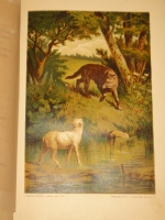 `Басни И.А.Крылова` И.А.Крылов. С.-Петербург, Издание П.А.Егорова, 1880г.