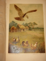 `Басни И.А.Крылова` И.А.Крылов. С.-Петербург, Издание П.А.Егорова, 1880г.