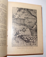 `Тасино горе` Л.А. Чарская. СПб.–М.: т-во О.Вольф, 1909