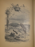 `Басни Лафонтена ( Полное собрание )` Жан де Лафонтен. С.-Петербург, Типография М.М.Стасюлевича, 1901г.