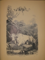 `Басни Лафонтена ( Полное собрание )` Жан де Лафонтен. С.-Петербург, Типография М.М.Стасюлевича, 1901г.