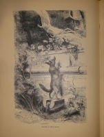 `Басни Лафонтена ( Полное собрание )` Жан де Лафонтен. С.-Петербург, Типография М.М.Стасюлевича, 1901г.