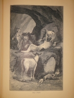 `Басни Лафонтена ( Полное собрание )` Жан де Лафонтен. С.-Петербург, Типография М.М.Стасюлевича, 1901г.