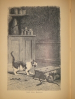 `Басни Лафонтена ( Полное собрание )` Жан де Лафонтен. С.-Петербург, Типография М.М.Стасюлевича, 1901г.