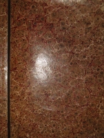 `Вечерний звон. Стихи 1887-1890` Я.П.Полонский. С.-Петербург, Типография А.С.Суворина, 1890г.