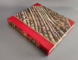 `Лис Патрикеич. Поэма в двенадцати песнях` И.В. Гёте. СПб.: Изд. А.Ф. Маркса, [1901г.]