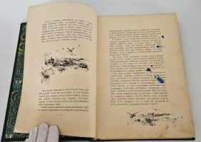 `С севера на юг. Путевые воспоминания старого журавля` Н.Н.Каразин. С.-Петербург, Издание А.Ф. Девриена, 1899 г.