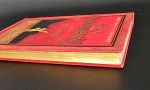 `История одного маленького человека` М.Р. Гальт. СПб.: Тип. М. Стасюлевича, 1900 г.